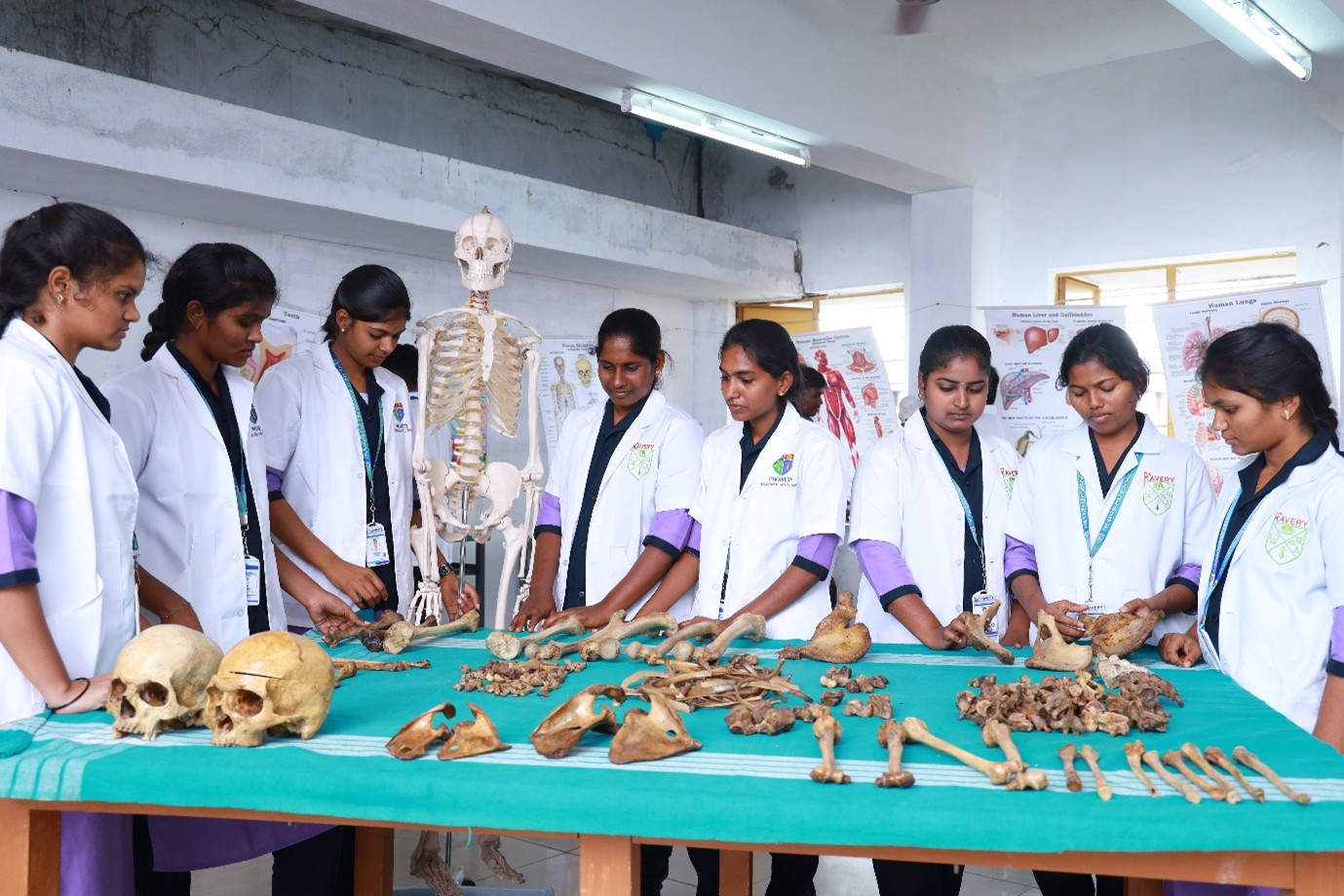 Bachelor of Physiotherapy